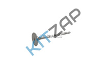   Krauf__0